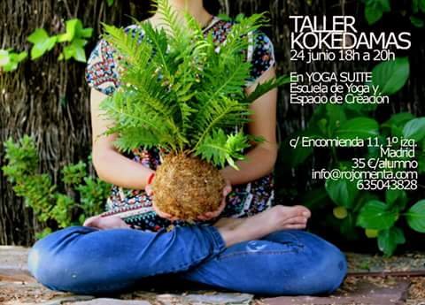 taller kokedamas yogasuite